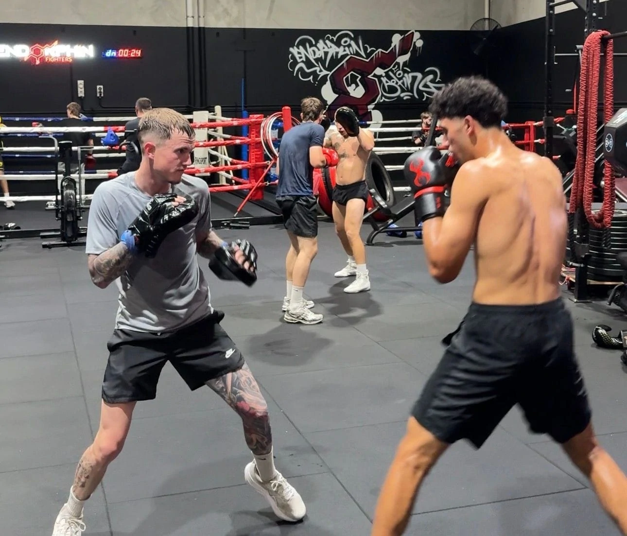 Box-FIT classes